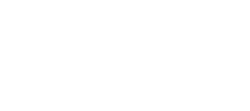 Brain logo
